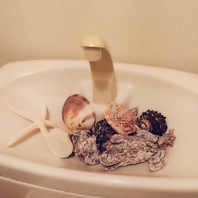 Mikuさんの実例写真