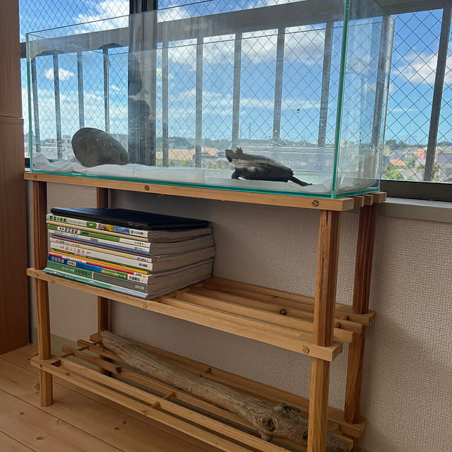 nee_roomさんの部屋