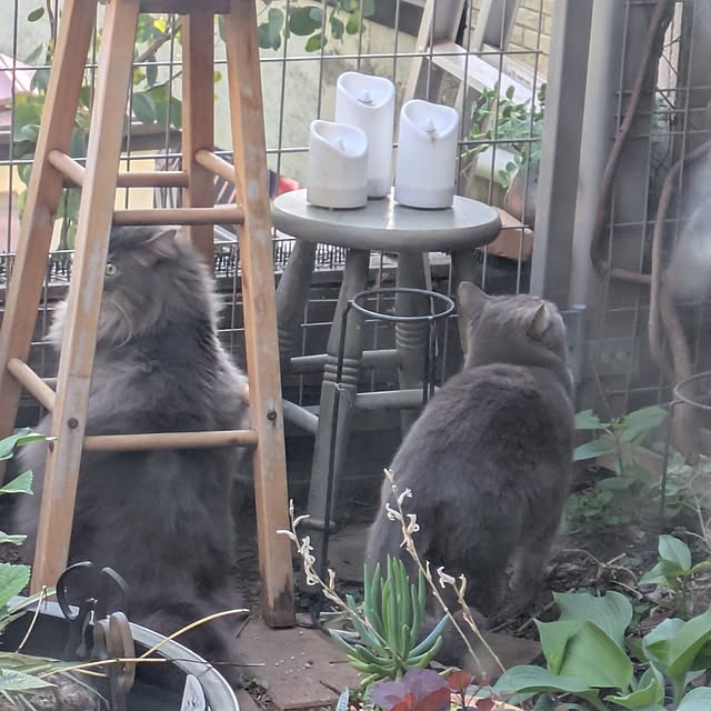 ayuさんの部屋