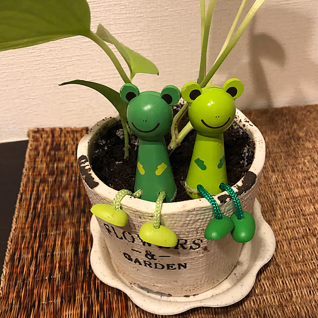 Taeさんの実例写真