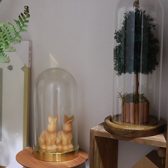 Summerさんの部屋