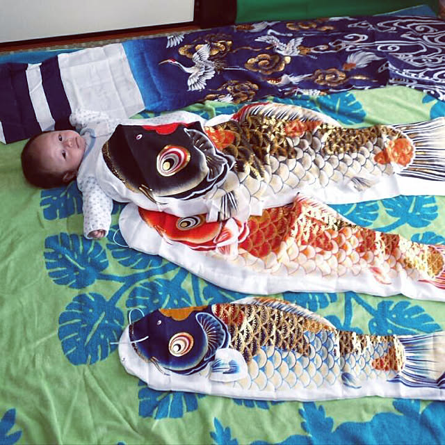実例写真
