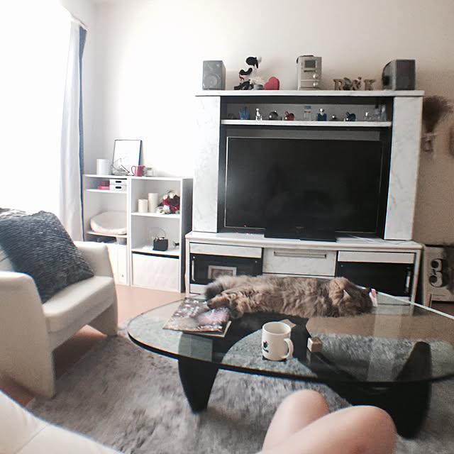 wolf_____21さんの実例写真