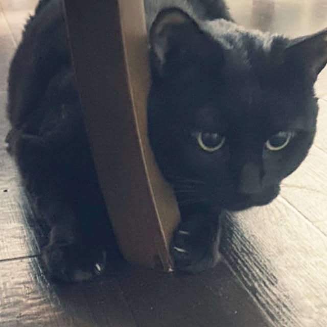 ayumiさんの部屋