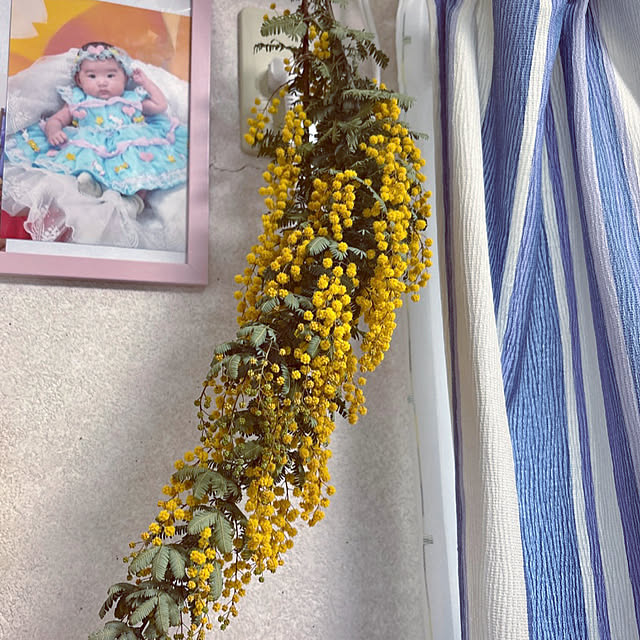 takakoさんの実例写真