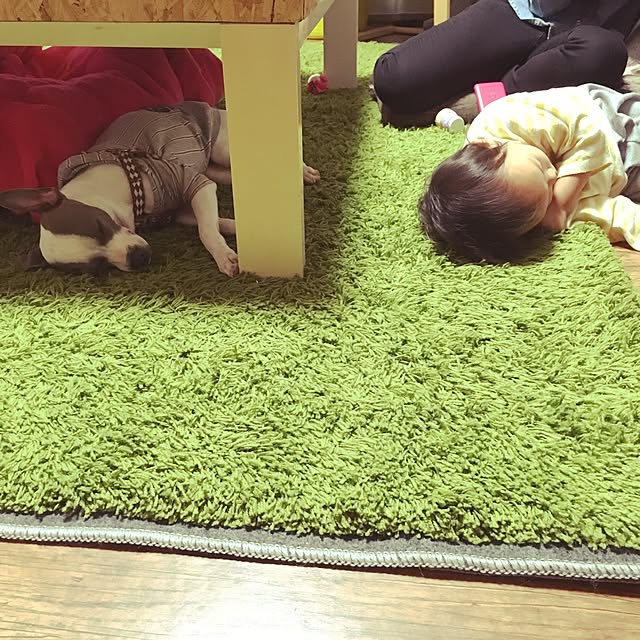 pua35さんの実例写真
