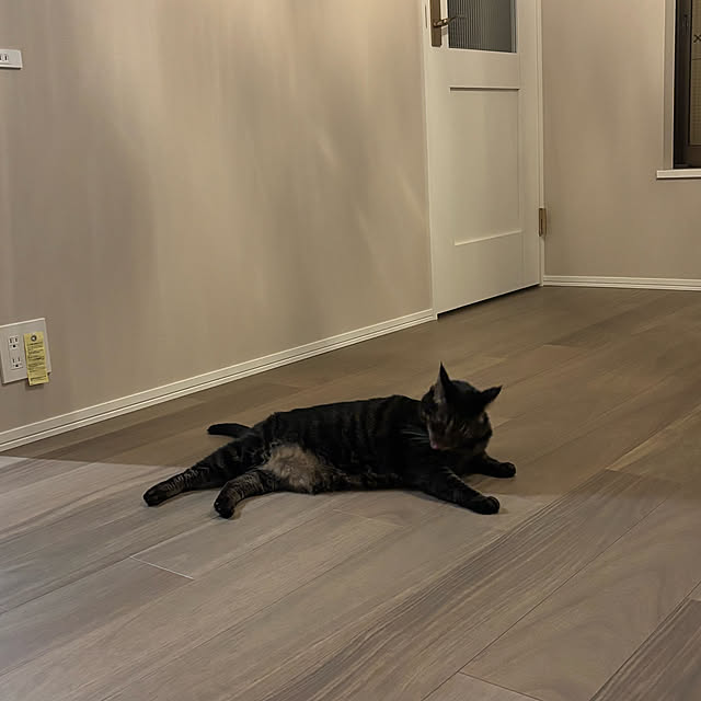 momocchiさんの部屋