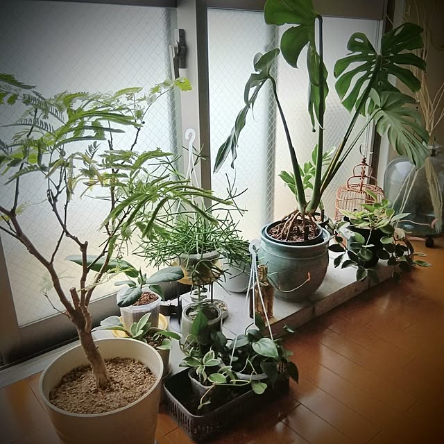 mimiさんの実例写真