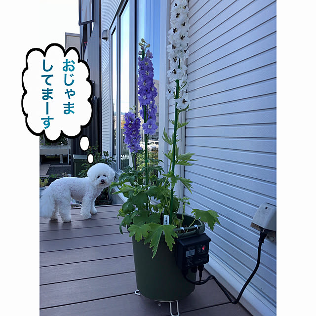 unichanさんの実例写真