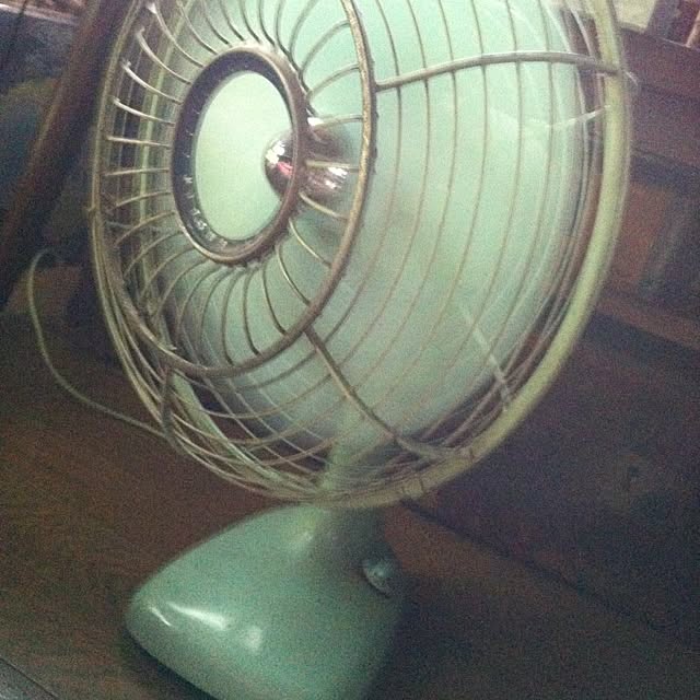 9685kotubuさんの実例写真
