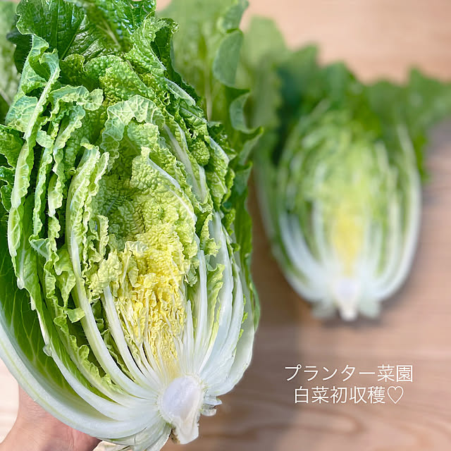 asuさんの実例写真