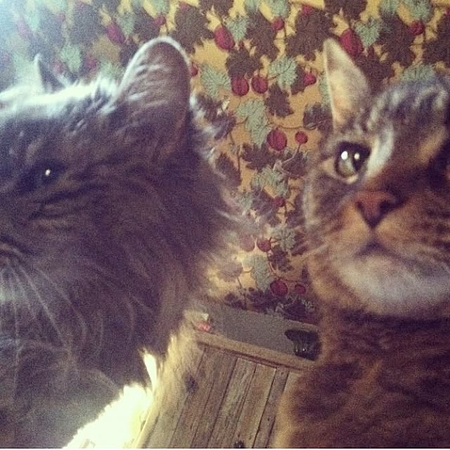 miksaさんの実例写真