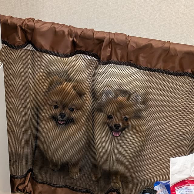 avovo7さんの部屋