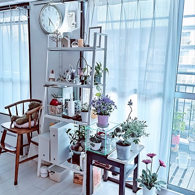 mi-saさんの部屋