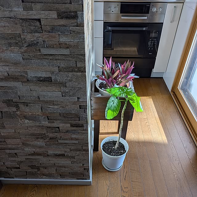 リビング/暮らしのひとコマ/冬/シンプルが好き/ムラサキオモト...などのインテリア実例 - 2025-12-13 09:11:45