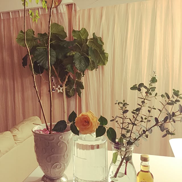 ikuhy.0077yuukiさんの実例写真