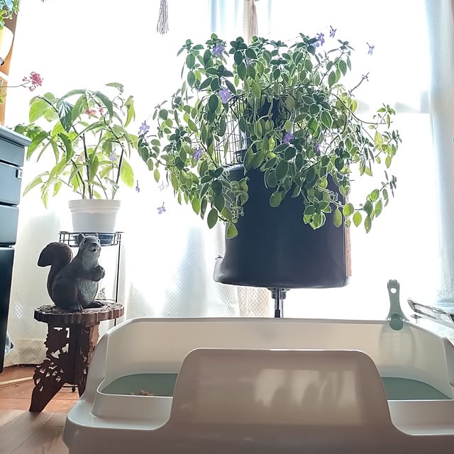 NOAHさんの実例写真