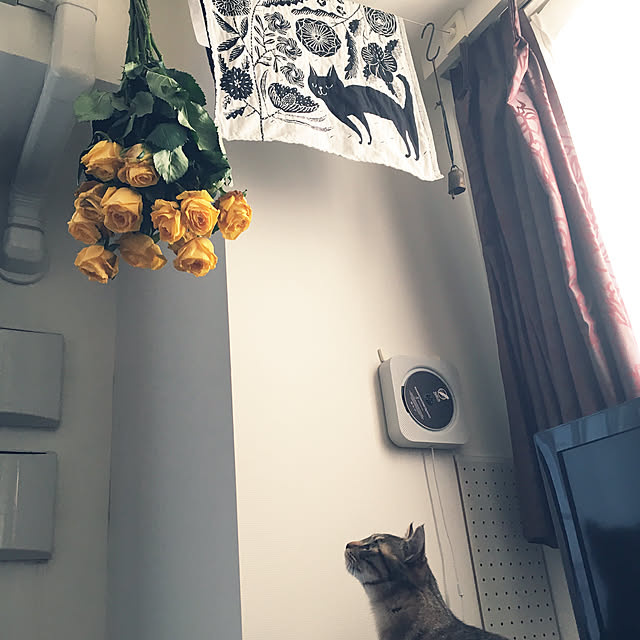 mikomaruさんの実例写真