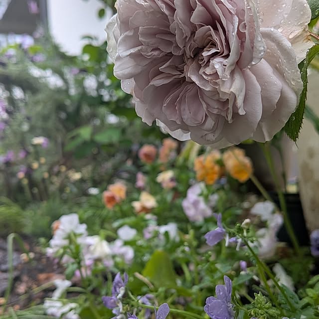 nolleyさんの部屋