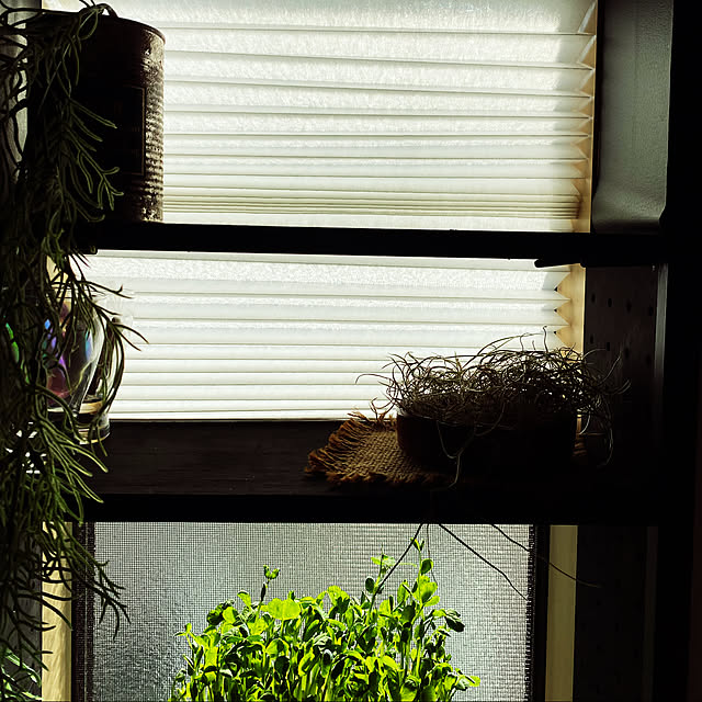 momokumiさんの実例写真