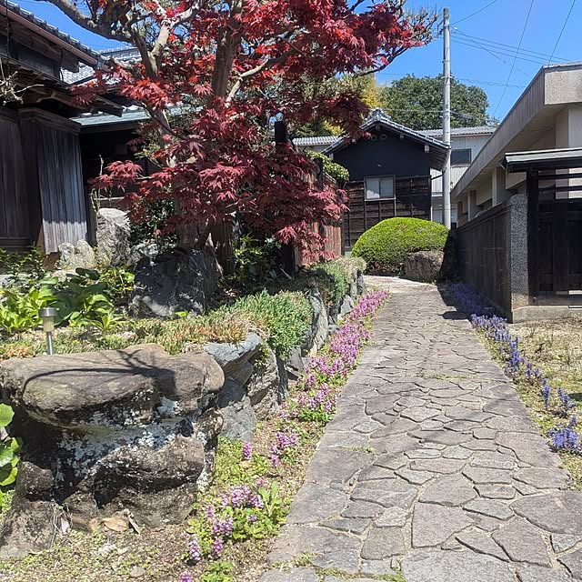 kuririnmamaさんの実例写真