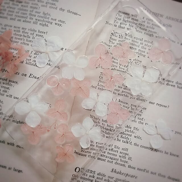 chocolateさんの実例写真