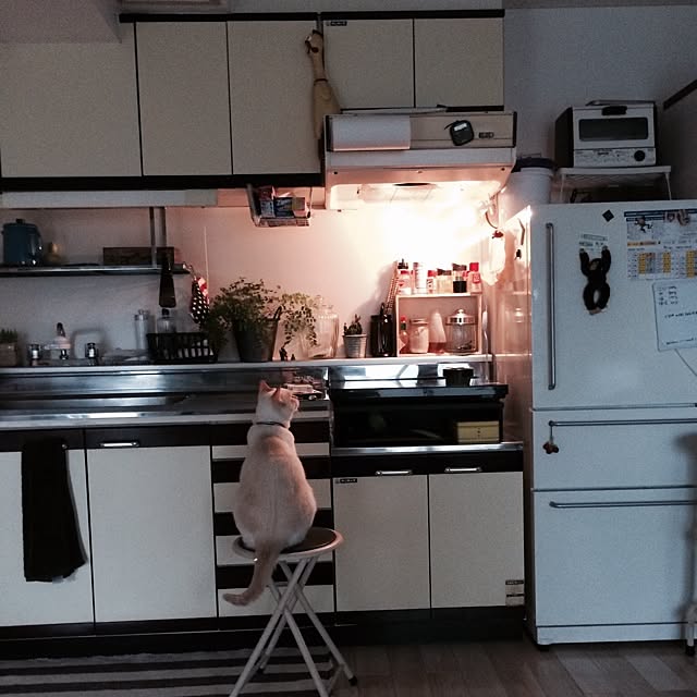 bobooooonさんの実例写真