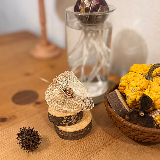 greycatsさんの部屋