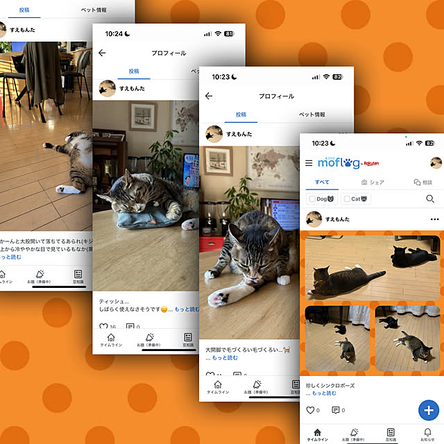 suemonta14さんの実例写真