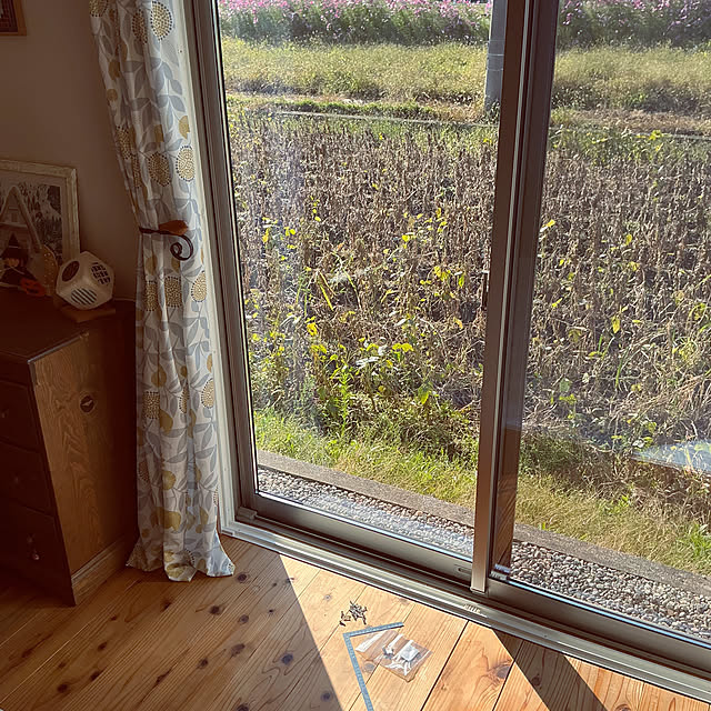 chiiyanさんの部屋