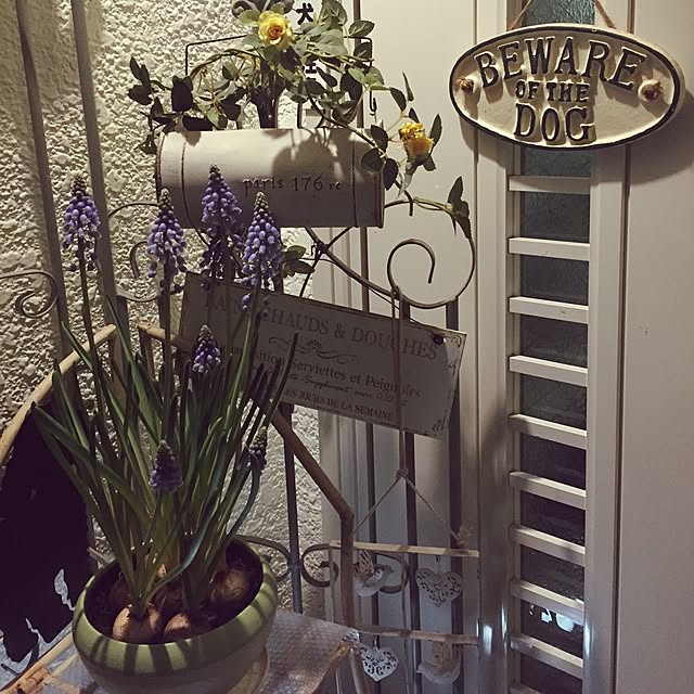 greenroseさんの実例写真