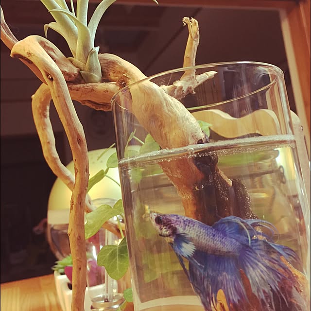 takayukiさんの実例写真