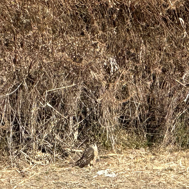 mizucchiさんの部屋