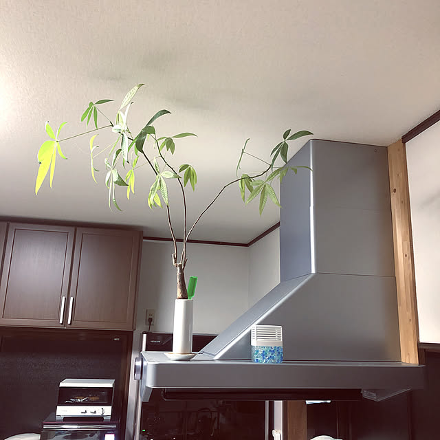 sakakenさんの実例写真