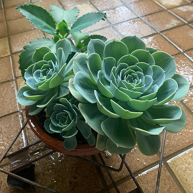 Aqettyさんの部屋