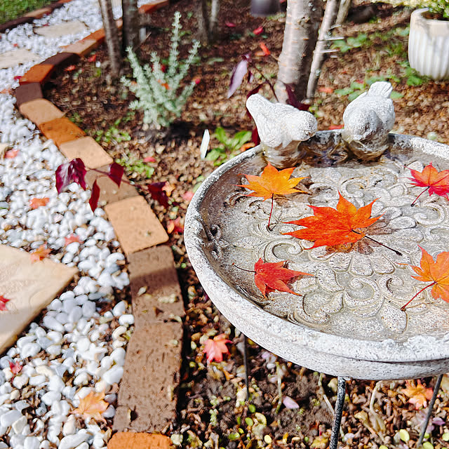 chanduさんの実例写真