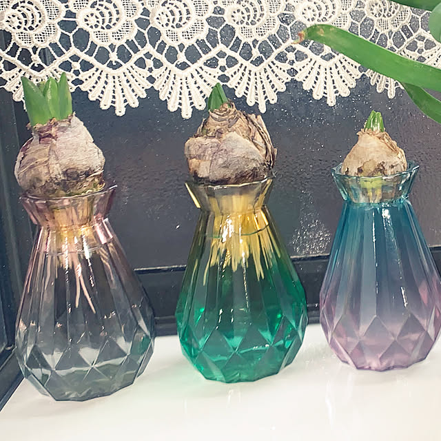 KYONさんの実例写真