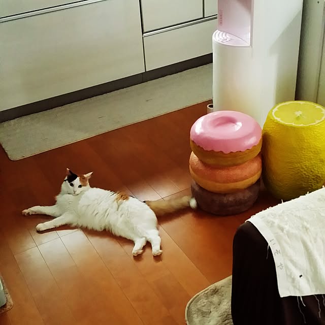 kumi-kumiさんの実例写真
