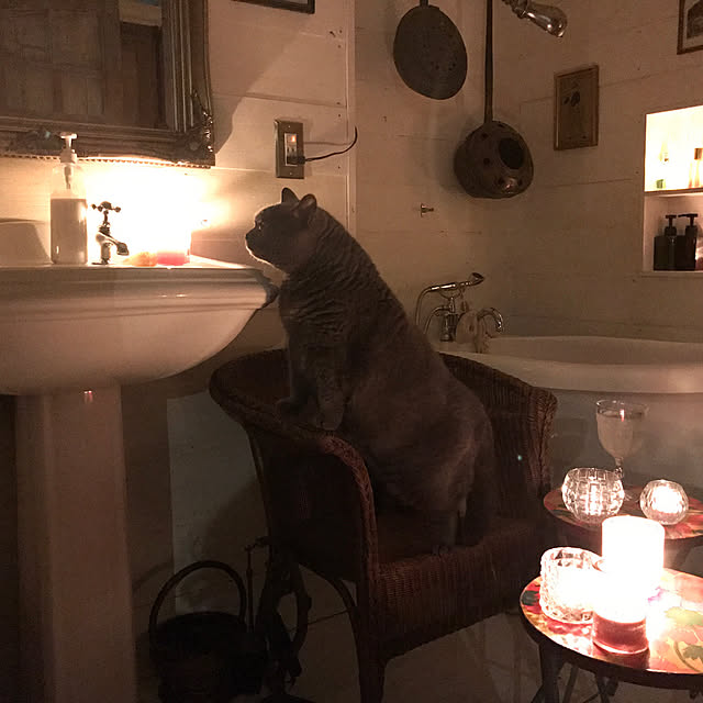 miizer8さんの実例写真