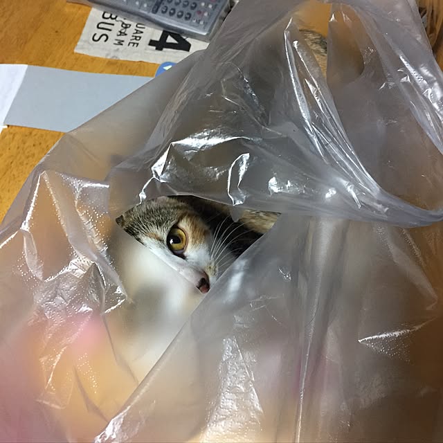 vivienne.coco-keiさんの実例写真