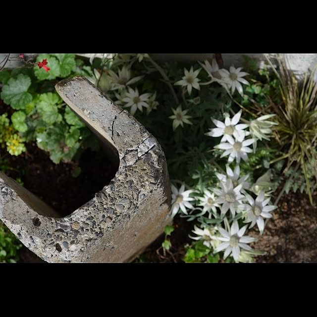 GreenWorksさんの実例写真
