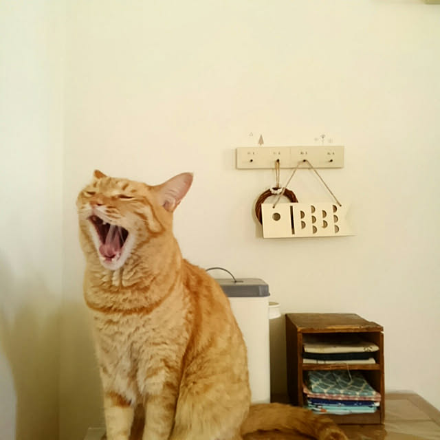 mayutan.さんの実例写真