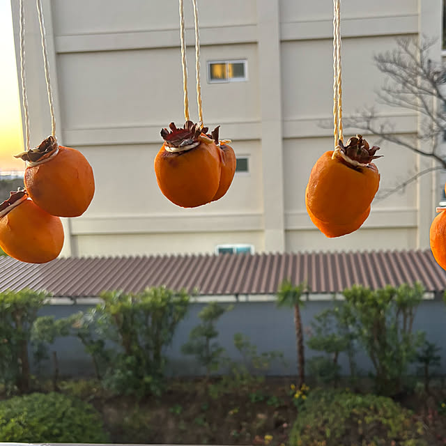 syutmmさんの部屋