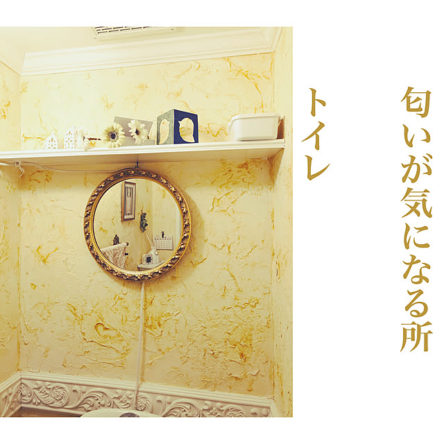 Mayumiさんの実例写真