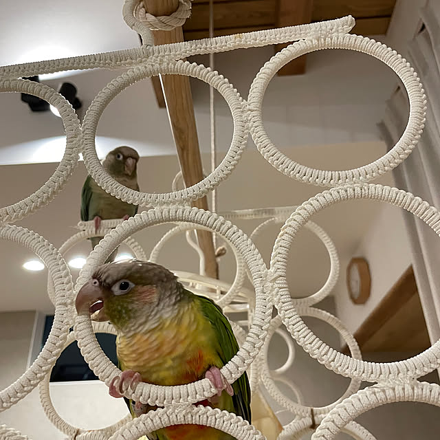 moeccさんの部屋