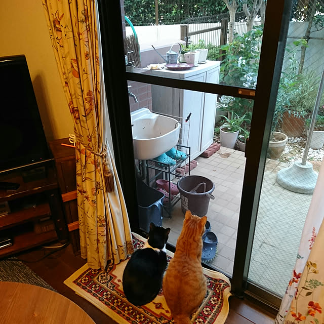 okyosan101さんの実例写真