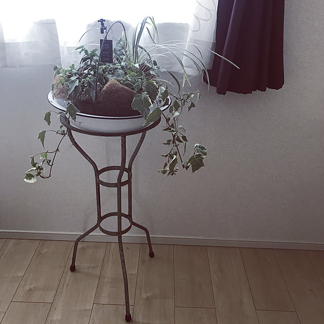 ikukoさんの実例写真