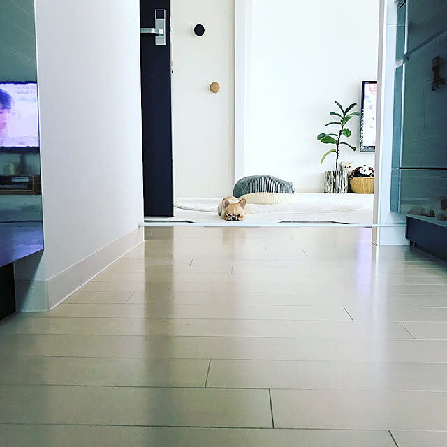 haruhinaさんの実例写真