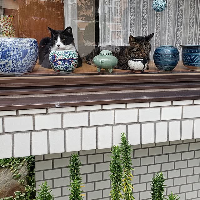 Mayumi8888さんの実例写真
