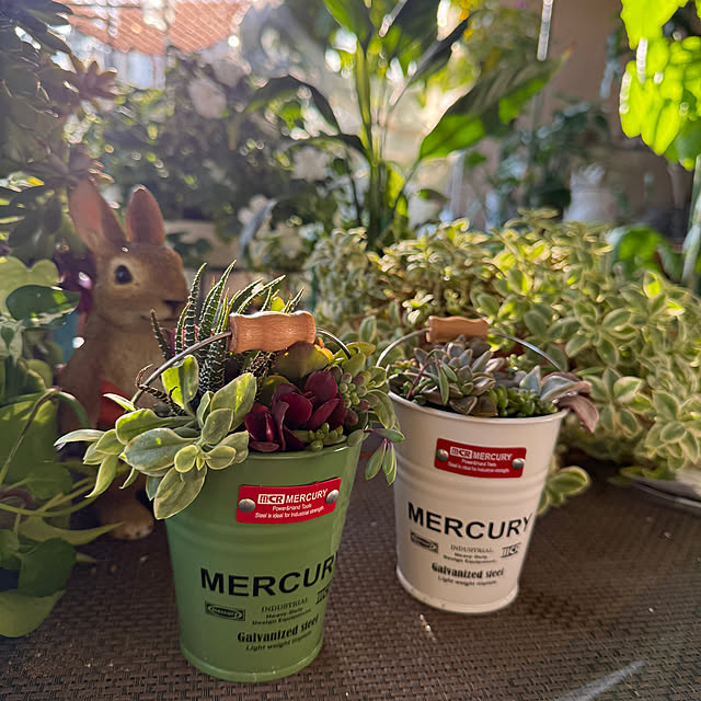 Aqettyさんの部屋